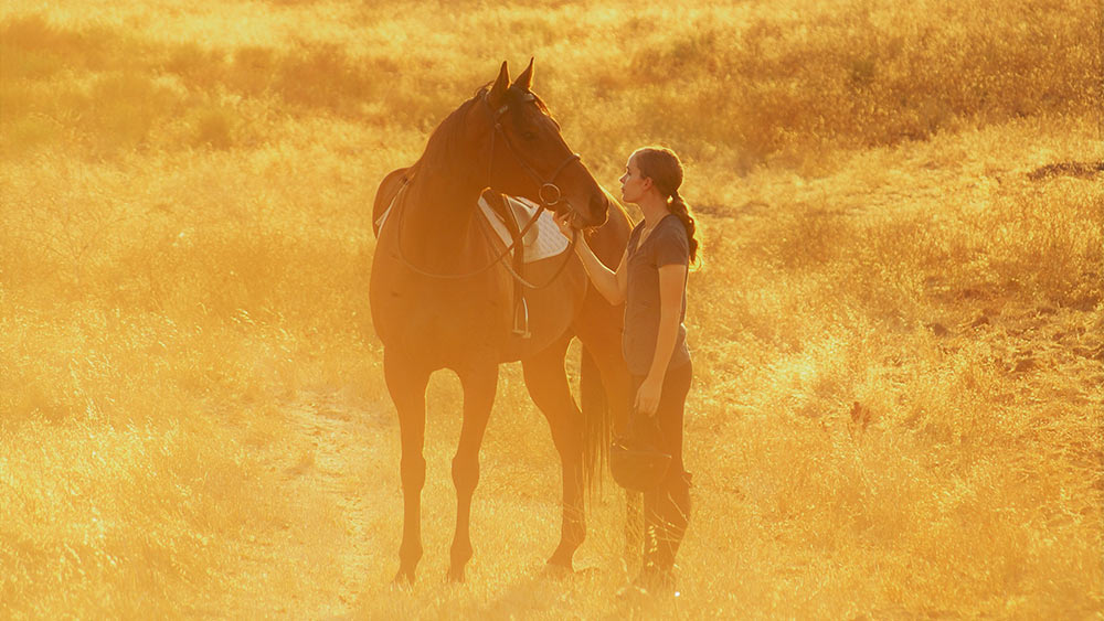 一个穿着骑马装备的女人站在田野里。她站在她的马旁边，看着她的眼睛。