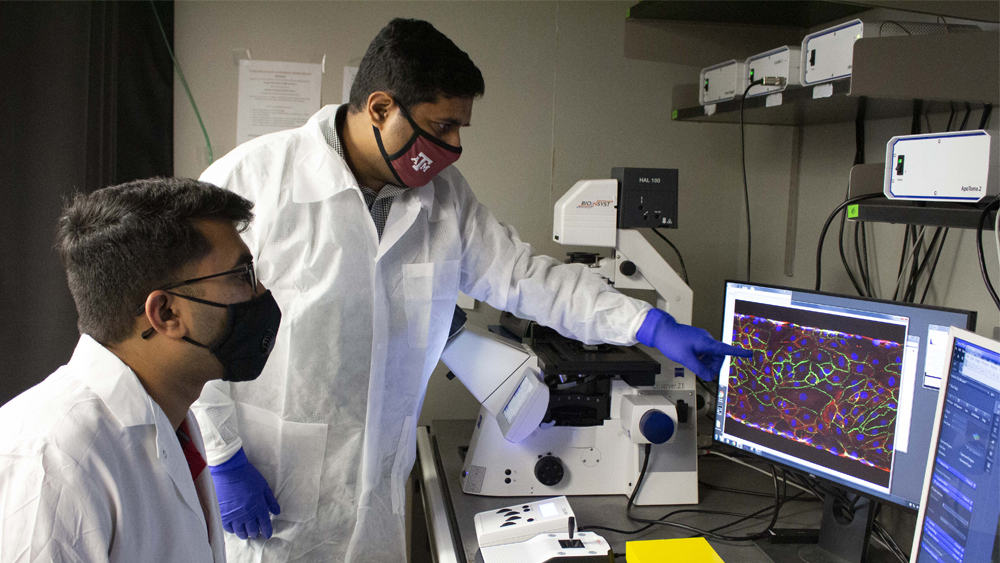 两名研究人员在实验室观察显微镜成像。两人都穿着个人防护装备。